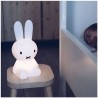 Miffy rabbit Night lamp - S