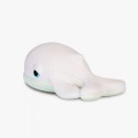 Bath toy - Walter the Whale
