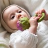 Rattle and teething toy for baby - Artichoke - Oli & Carol - Petit Toi