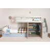 Children's train bed with storage, wardrobe, drawers, or extra bed.