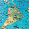 Puzzle enfant Animaux du Monde – Deviens un Petit Zoologiste