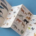 Children’s Puzzle – Animals of the World: Become a Little Zoologist