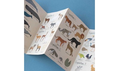 Puzzle enfant Animaux du Monde – Deviens un Petit Zoologiste