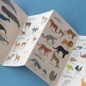 Puzzle enfant Animaux du Monde – Deviens un Petit Zoologiste