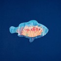 PUZZLE – BLUE: My First Deep Sea Puzzle