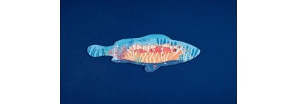 PUZZLE – BLUE: My First Deep Sea Puzzle