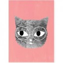 Affiche – Chat avec lunettes