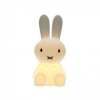 Veilleuse Miffy