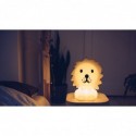 Veilleuse Lion