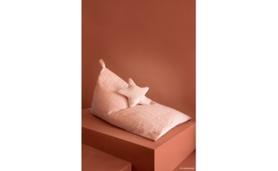 Coussin Aristote étoile velours – 40×40 – rose fleuri