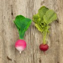 Natural rubber teething baby toy RADISH| Petit Toi - Lausanne