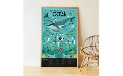 Giant poster Discover the ocean -  Poppik - PetitToi Lausanne