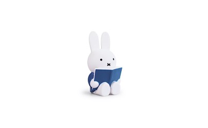 Miffy Pig Money with a Book...
