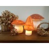 Night Lamp mushroom red terra Egmont Toys Petit-Toi