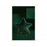 aristote-star-velvet-cushion-jungle-green-nobodinoz-petit-toi-lausanne