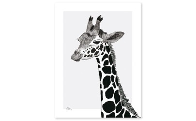 Affiche - Girafe