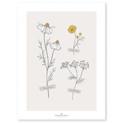Poster - Wild Flowers