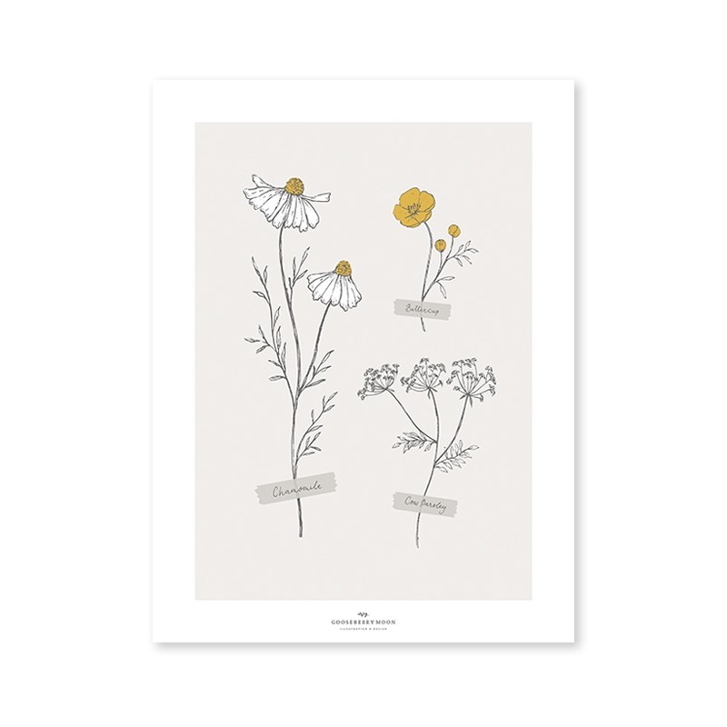 Poster - Wild Flowers