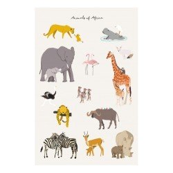 Poster - Animals of Africa