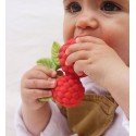 Natural rubber teething baby toy Raspberry | Petit Toi - Lausanne