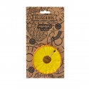 Teething toy natural rubber  ANANAS | Petit Toi- Lausanne