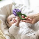 Rattle - Grapes-Peit Toi Lausanne