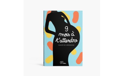 Book - 9 mois à t'attendre - Language: French