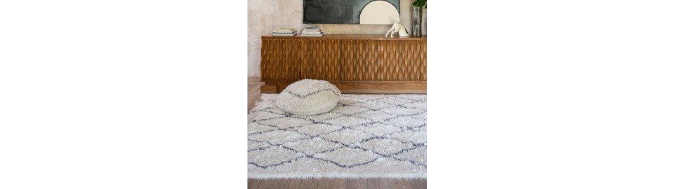 Tapis pour la maison